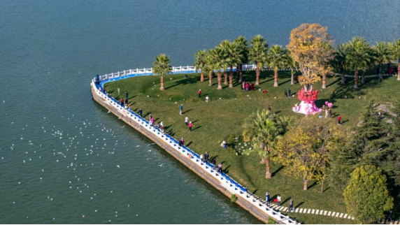 圖片關(guān)鍵詞 圖片關(guān)鍵詞