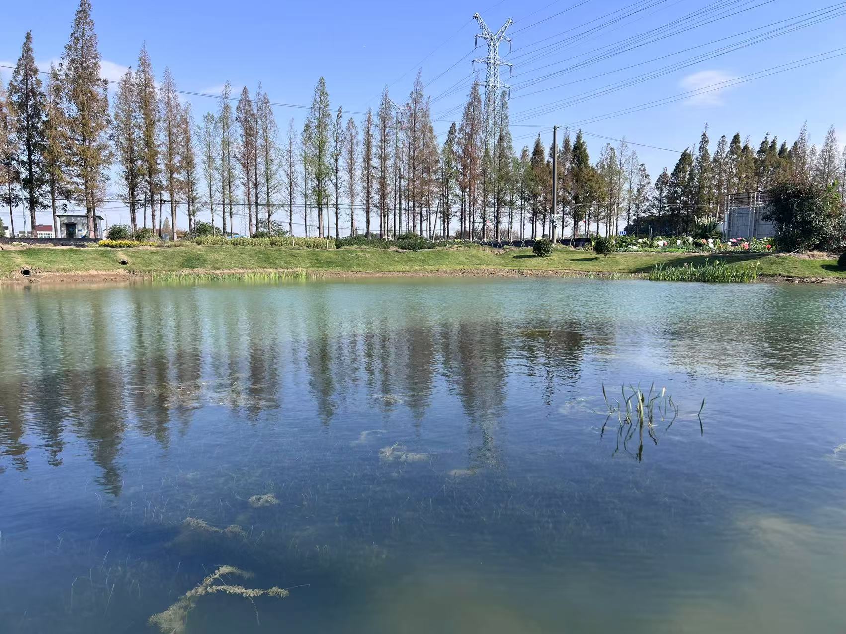 圖片關(guān)鍵詞