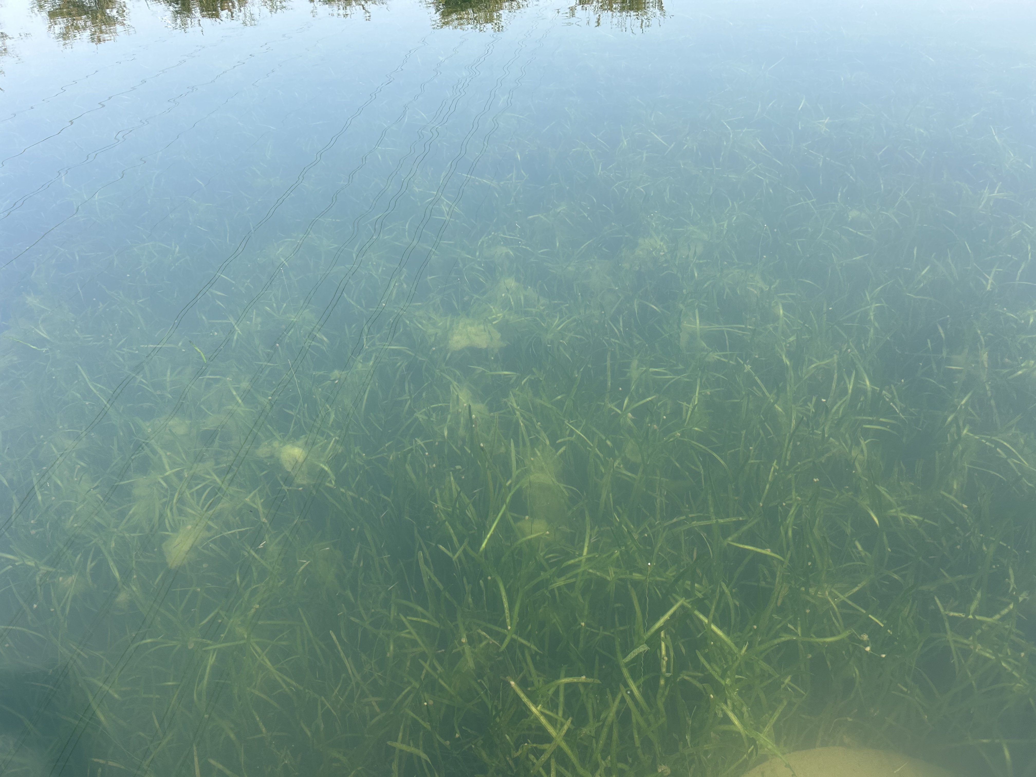 圖片關(guān)鍵詞