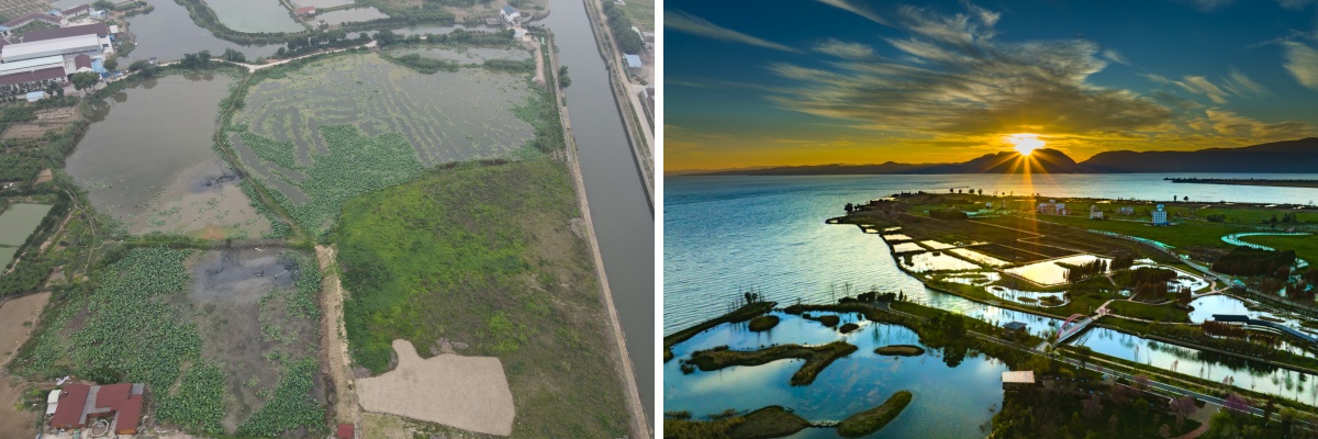 圖片關(guān)鍵詞