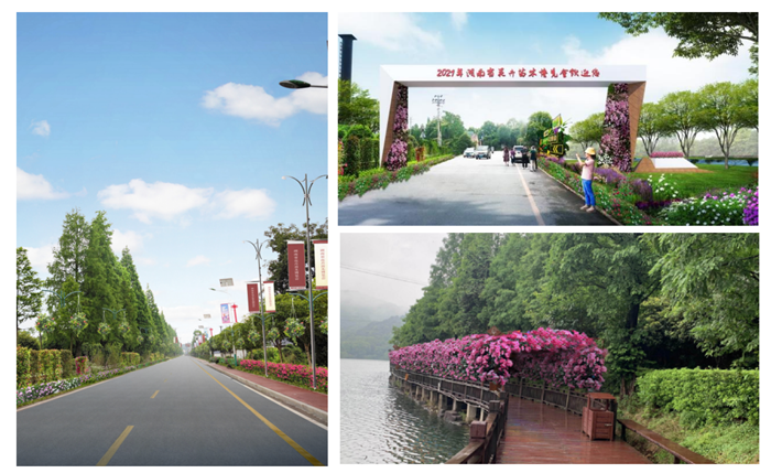 圖片關(guān)鍵詞 圖片關(guān)鍵詞