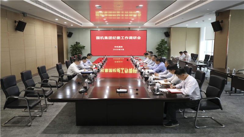 國機(jī)集團(tuán)黨委常委、紀(jì)委書記雷光華一行蒞臨中機(jī)國際開展調(diào)研